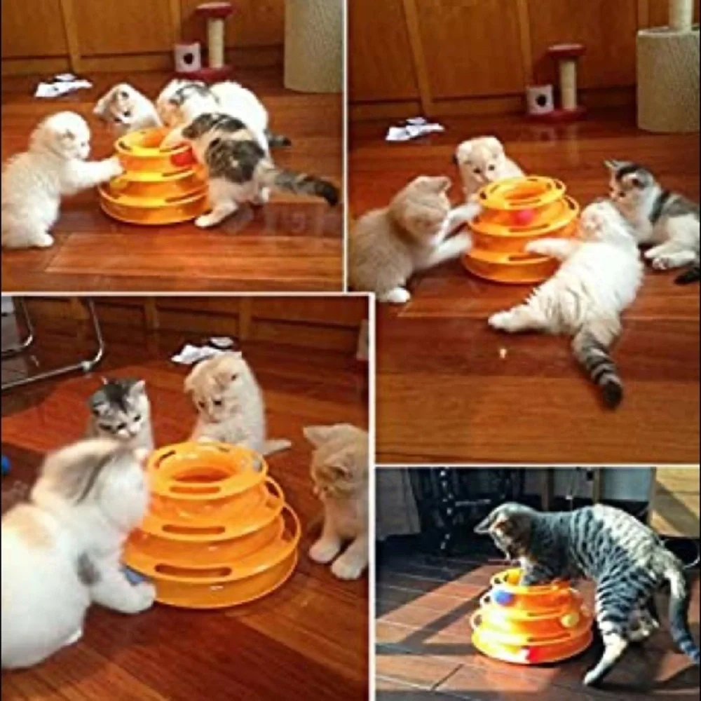 Dougez 3 Levels Pet Cat Toy